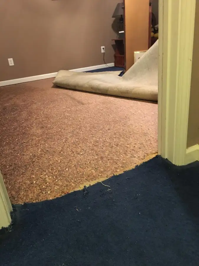 Carpet pad removal revealing water damage during Water Mitigation Services in Collinsville